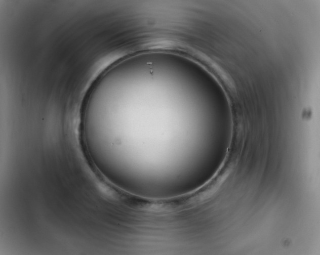 X0000103171418200808221223