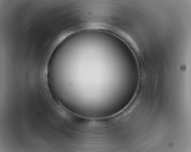 X0000103171419200808221223