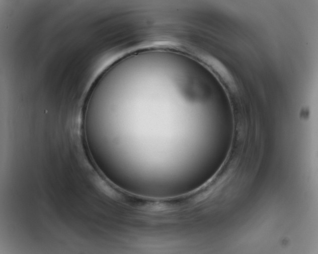 X0000103171420200808221223