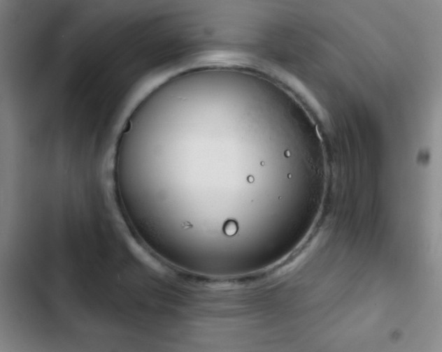 X0000103171421200808221223