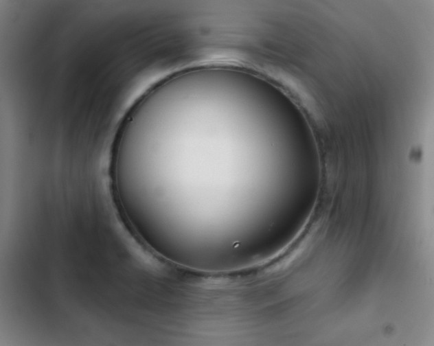 X0000103171422200808221224