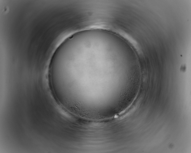 X0000103171423200808221224