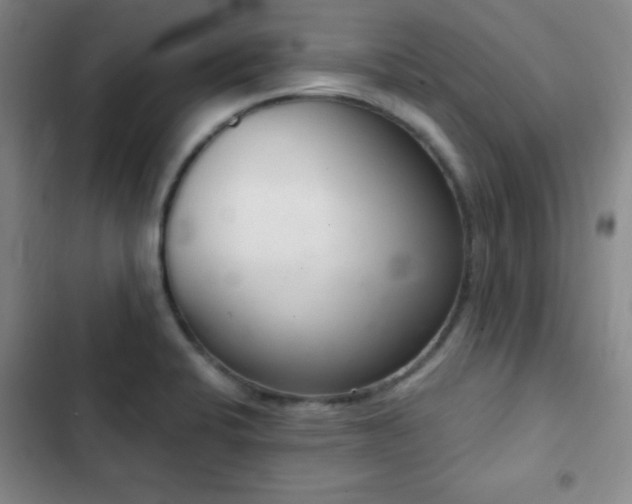 X0000103171424200808221224
