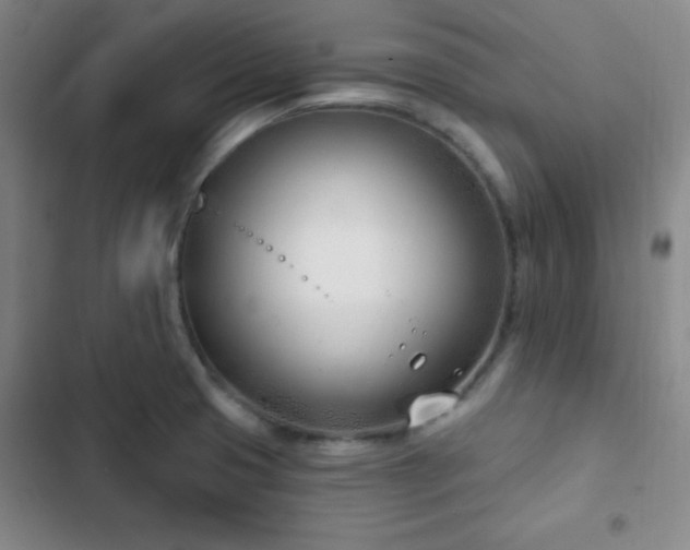 X0000103171425200808221224