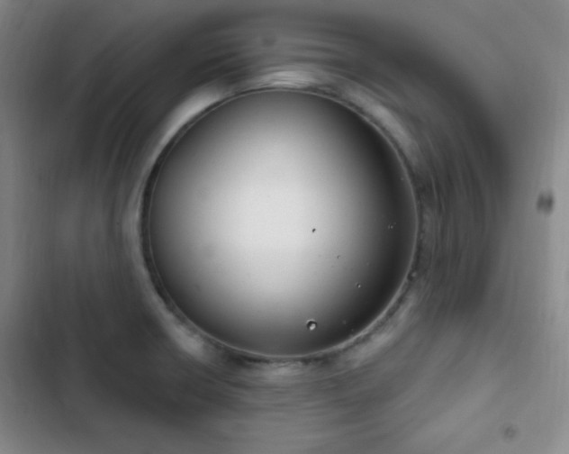 X0000103171426200808221224