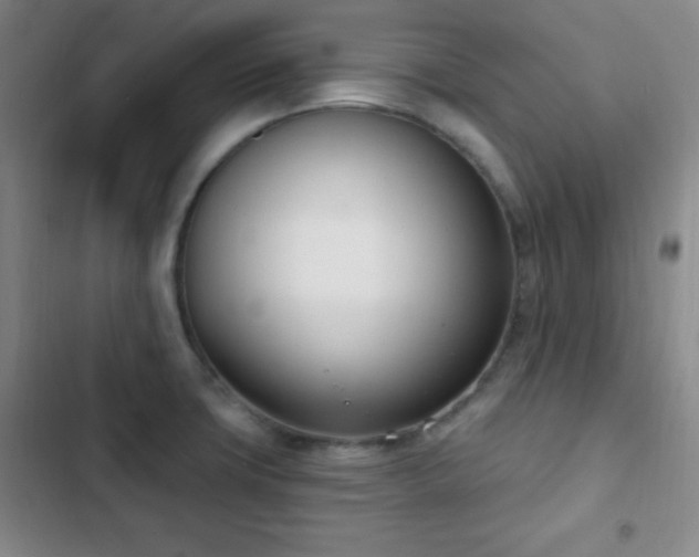 X0000103171427200808221224