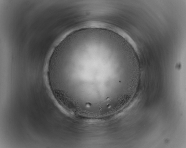 X0000103171429200808221224