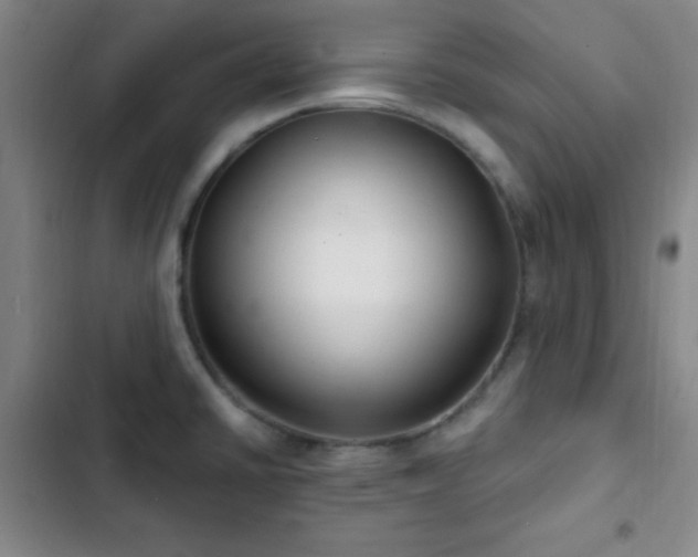 X0000103171430200808221224