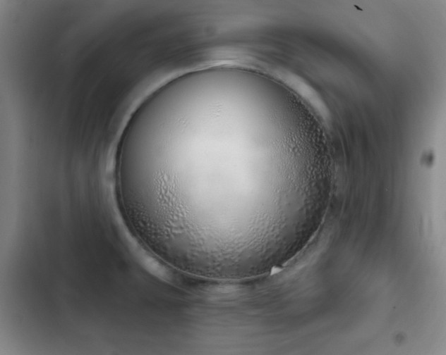 X0000103171431200808221224