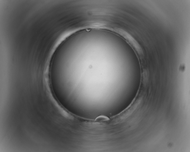 X0000103171432200808221224