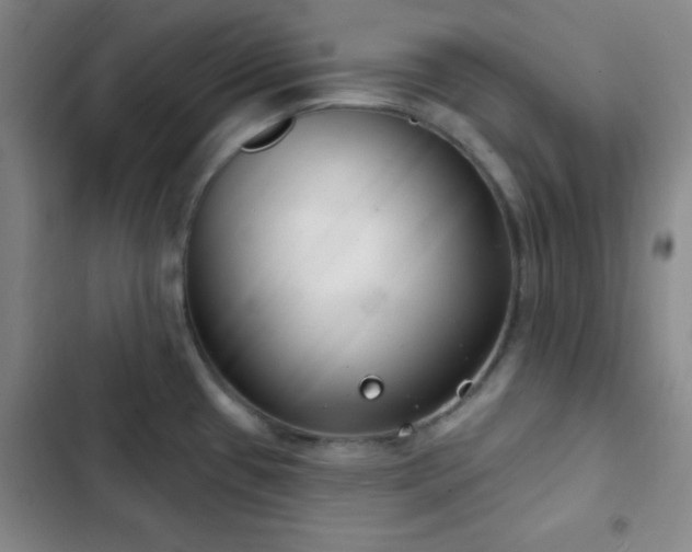 X0000103171433200808221224