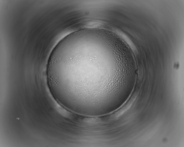 X0000103171434200808221224