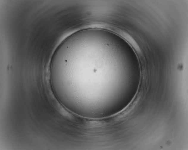 X0000103171436200808221224