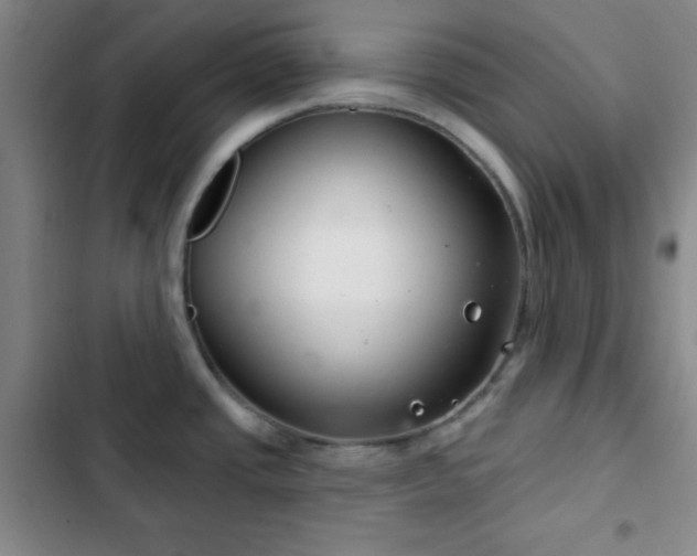 X0000103171437200808221224