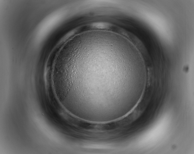 X0000103171438200808221224