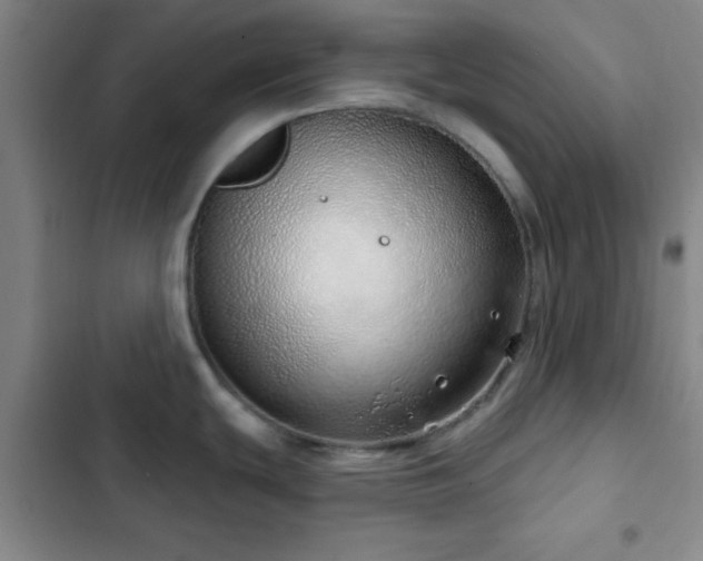 X0000103171439200808221224