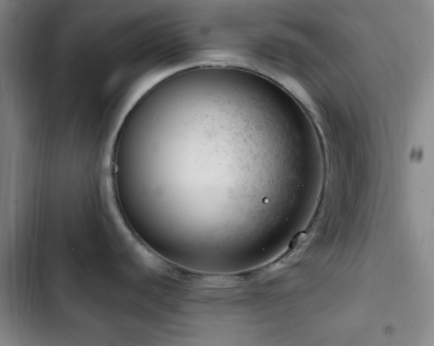 X0000103171440200808221224
