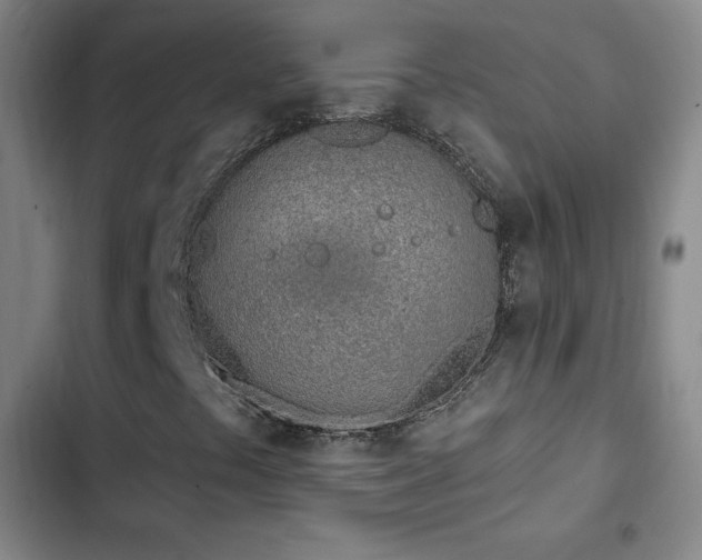 X0000103171441200808221223