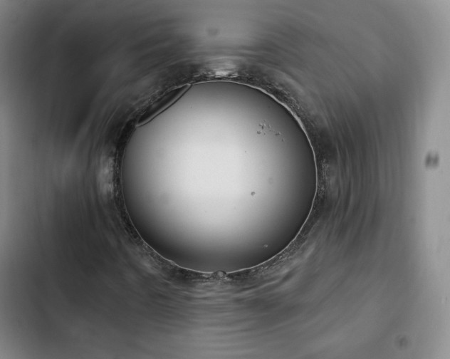 X0000103171442200808221223