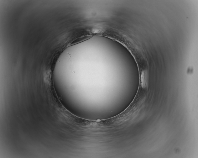 X0000103171443200808221223