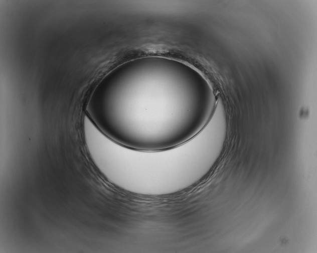 X0000103171444200808221223