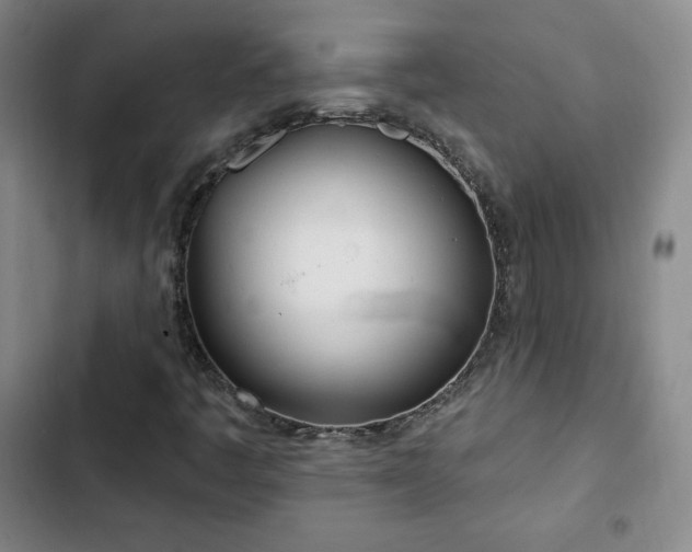 X0000103171445200808221223