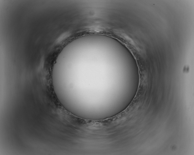 X0000103171446200808221223