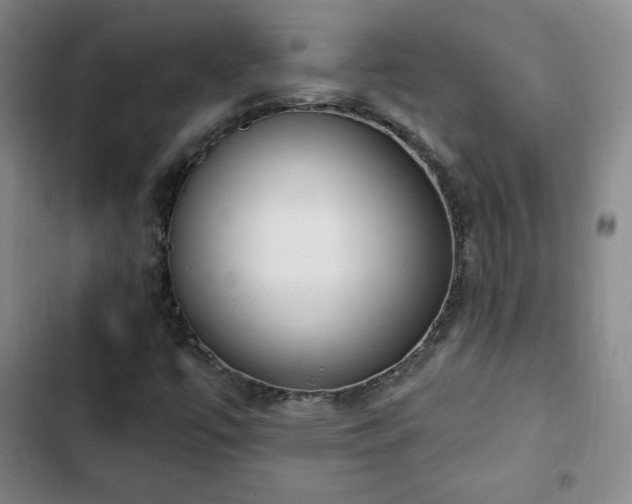 X0000103171447200808221223