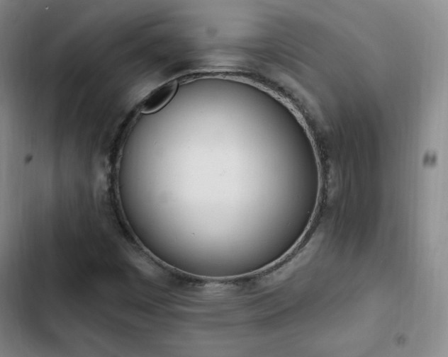 X0000103171449200808221223