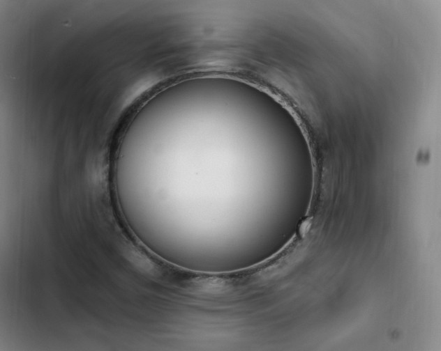 X0000103171450200808221223