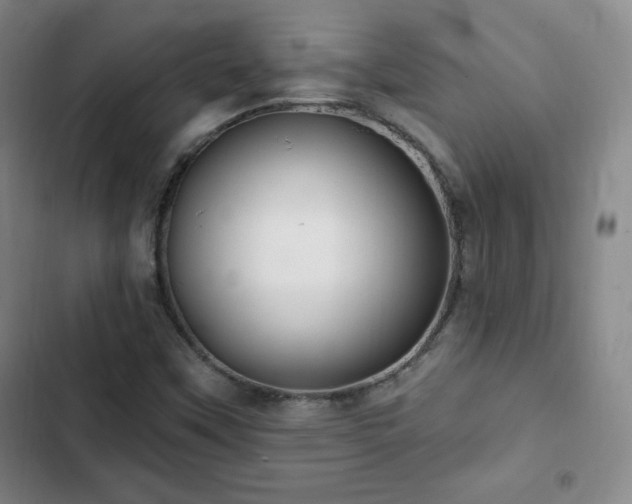 X0000103171451200808221223