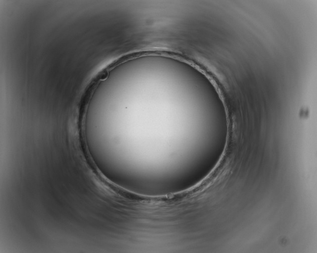 X0000103171452200808221223