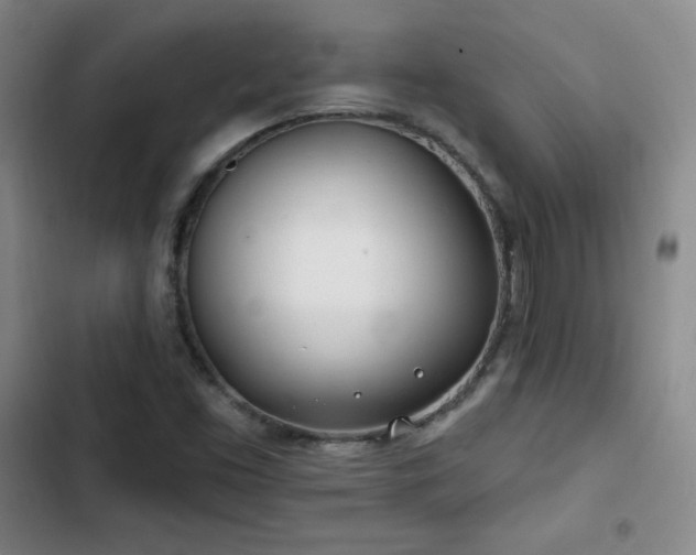 X0000103171453200808221223