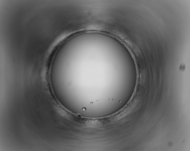 X0000103171454200808221223