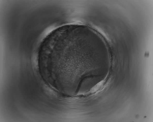 X0000103171455200808221223