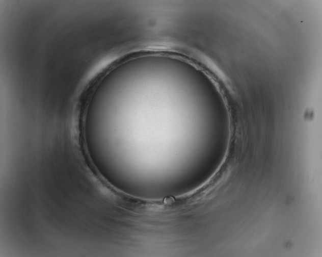 X0000103171456200808221223