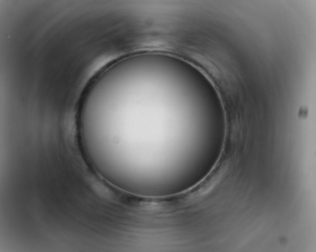 X0000103171458200808221223