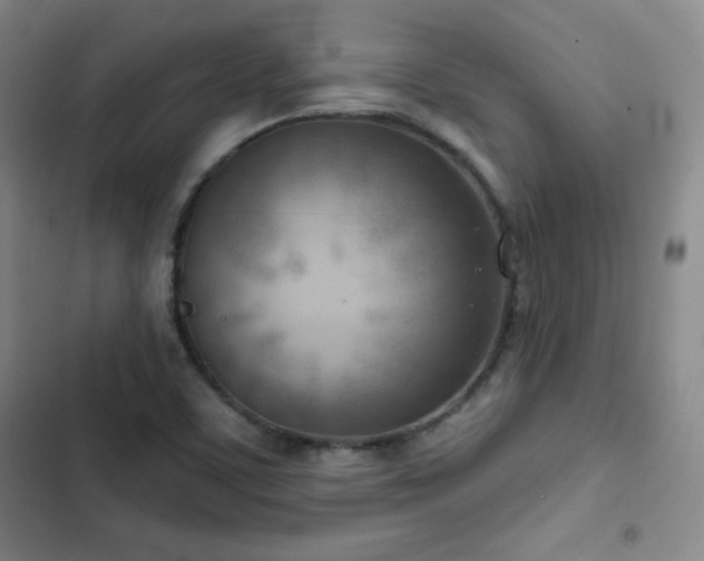 X0000103171459200808221223