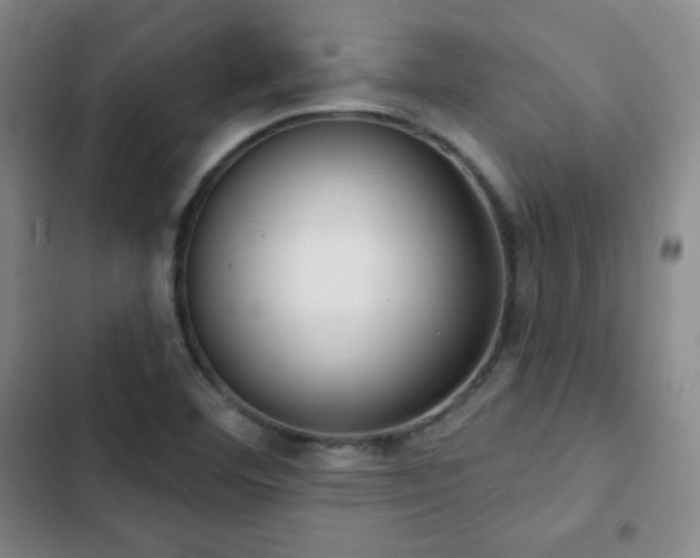 X0000103171460200808221223