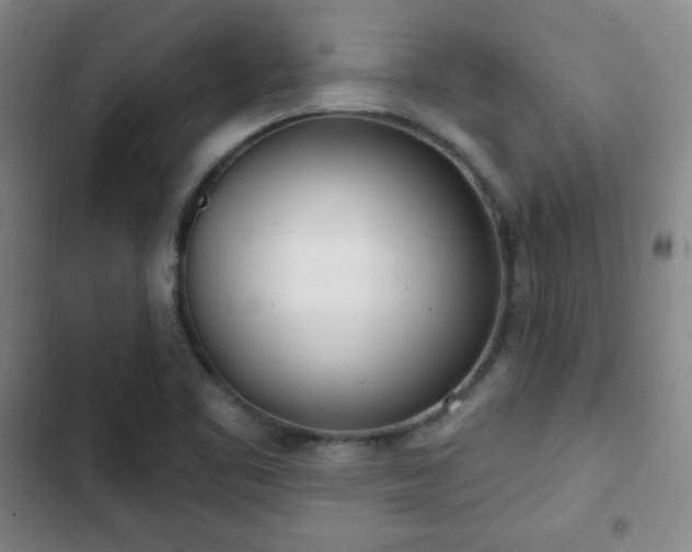 X0000103171461200808221223