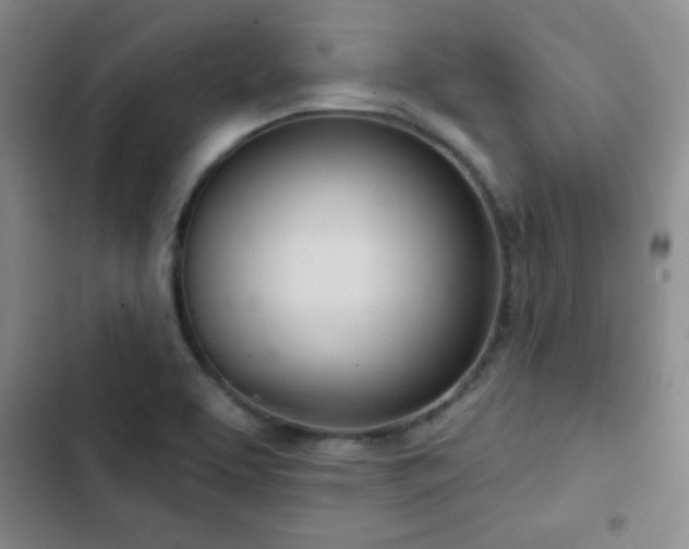 X0000103171463200808221223