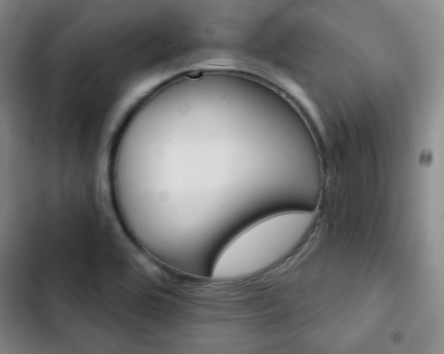 X0000103171464200808221223