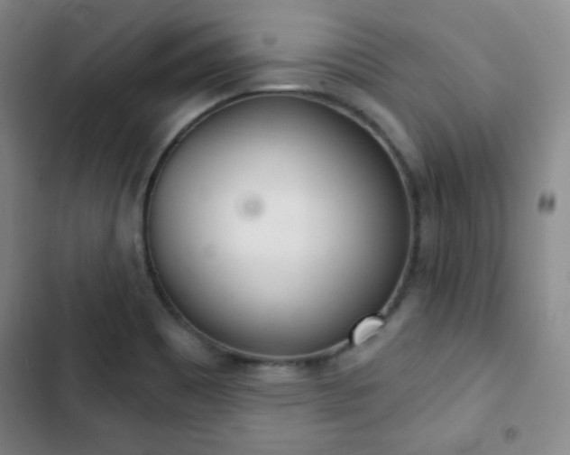 X0000103171465200808221223