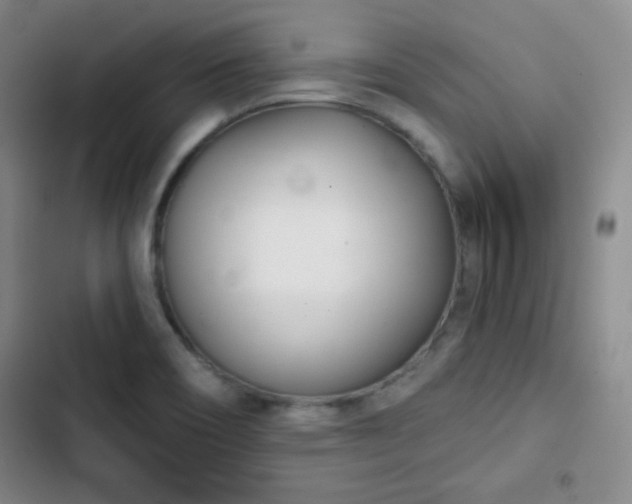 X0000103171466200808221223