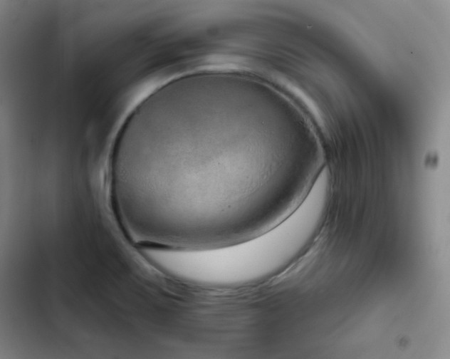 X0000103171467200808221223