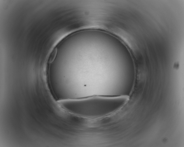 X0000103171468200808221223