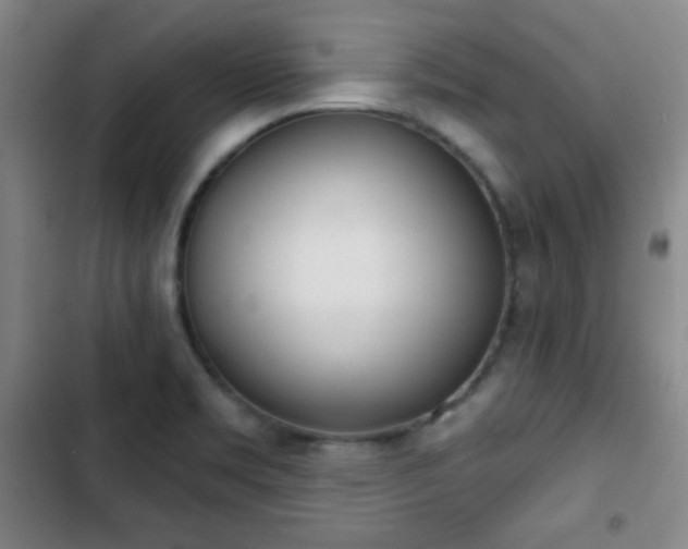 X0000103171469200808221223