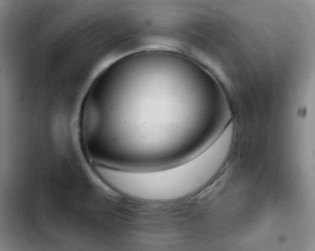 X0000103171471200808221222