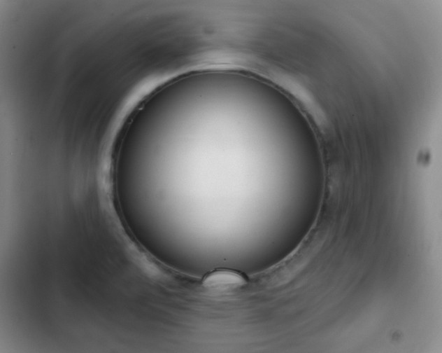 X0000103171472200808221222
