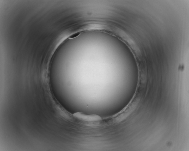 X0000103171473200808221222
